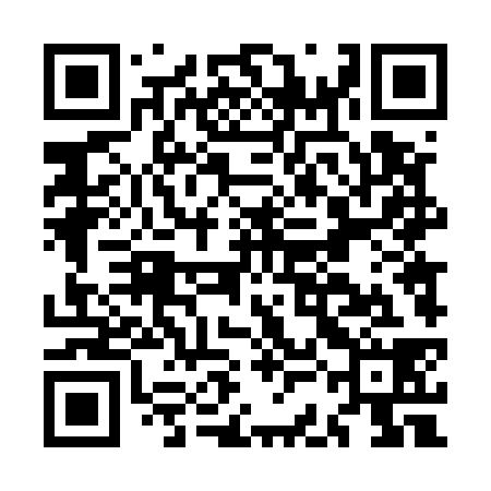 QR code for MCD538