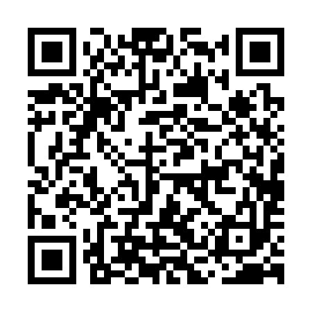 QR code for MCP393
