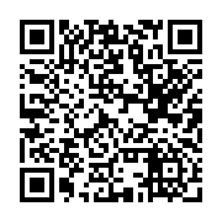 QR code for MCP397