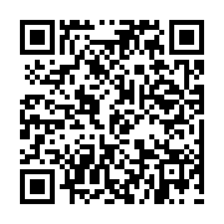 QR code for MDF383