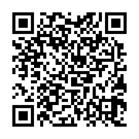 QR code for MDG309