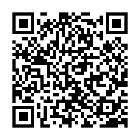 QR code for MDL038