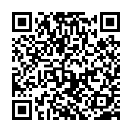 QR code for MEG289