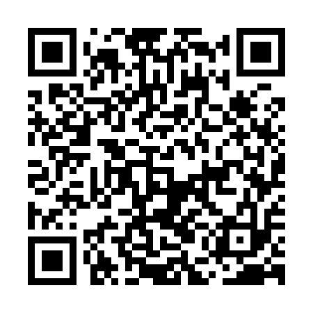 QR code for MEG913
