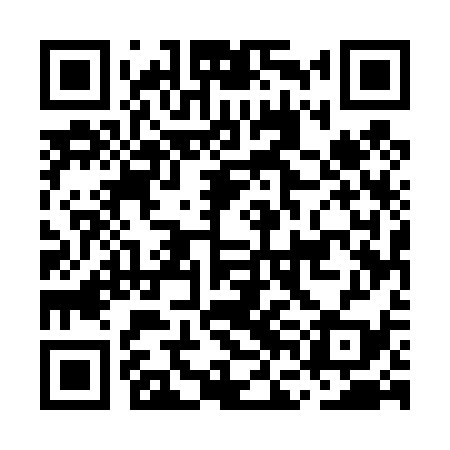 QR code for MFE439
