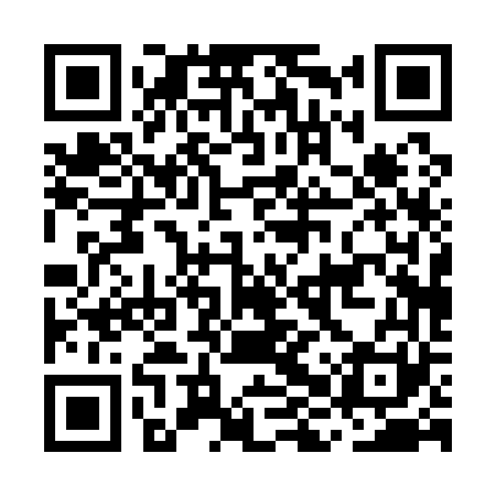 QR code for MHP161