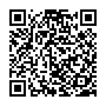 QR code for MIC028