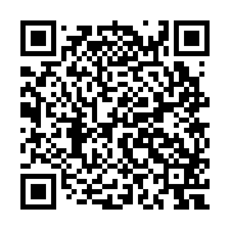 QR code for MIC383