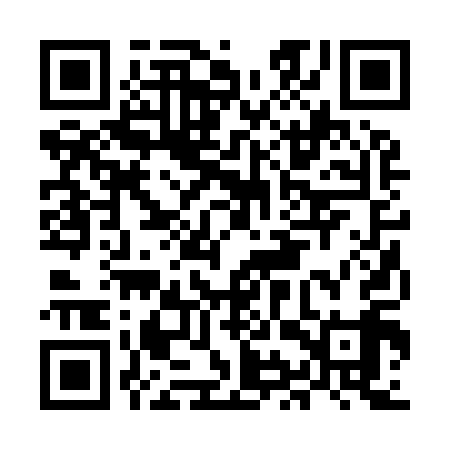 QR code for MIR919