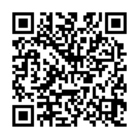 QR code for MPF333