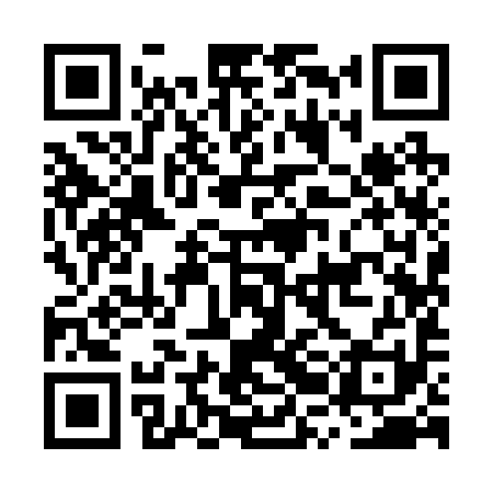 QR code for MRI291