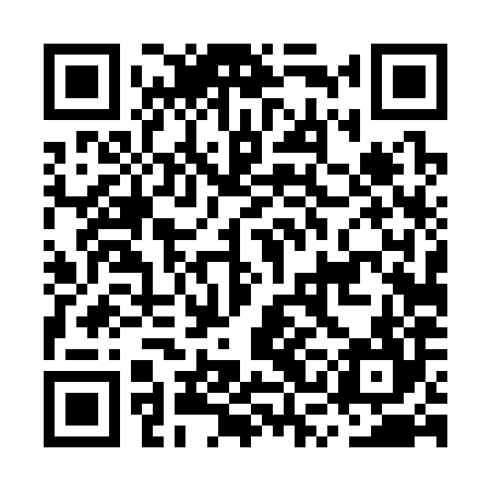 QR code for MSD384
