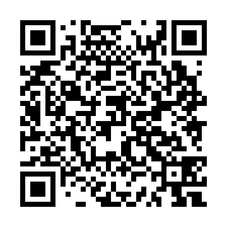 QR code for MSH338