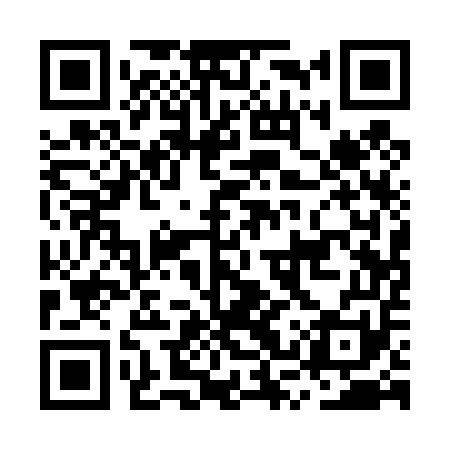 QR code for MSQ451