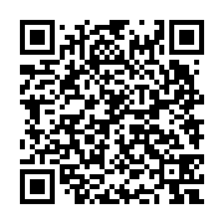 QR code for NAN638