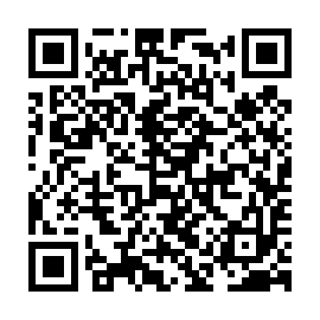 QR code for NAS493