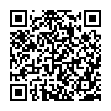 QR code for NEN376