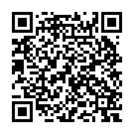 QR code for NES203