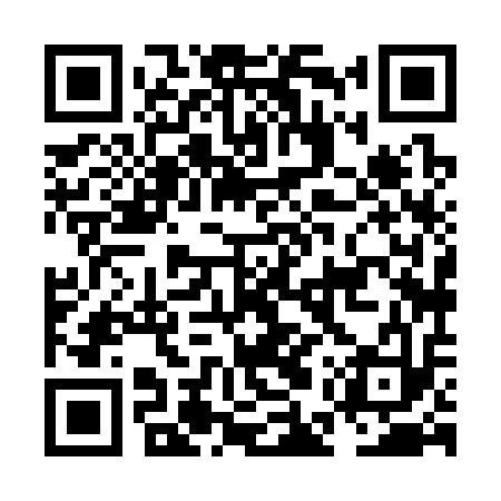 QR code for NEX313