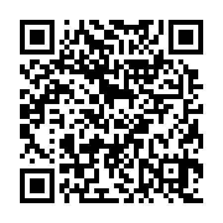 QR code for NFS335