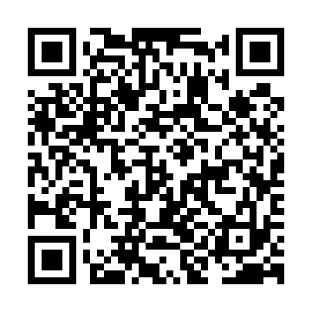 QR code for NIC533