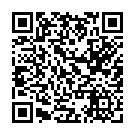 QR code for NIU377