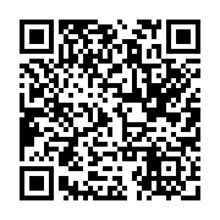 QR code for NJT383