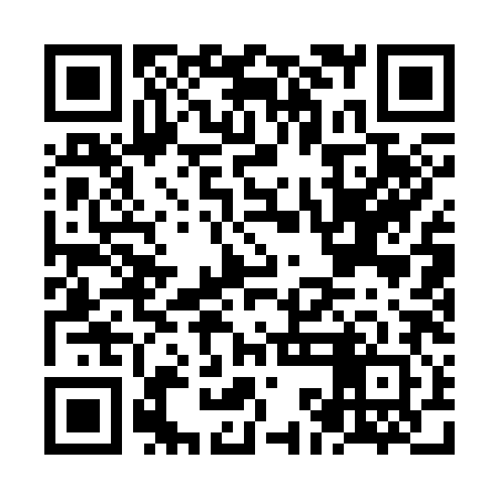 QR code for NKA382