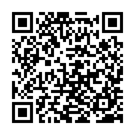 QR code for NLN384