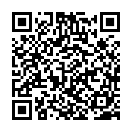 QR code for NLX965