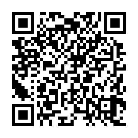 QR code for NNP389