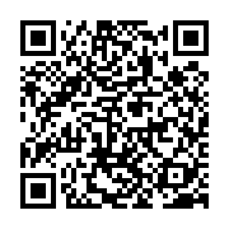 QR code for NNS529