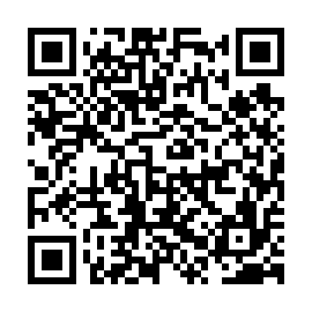 QR code for NPU616