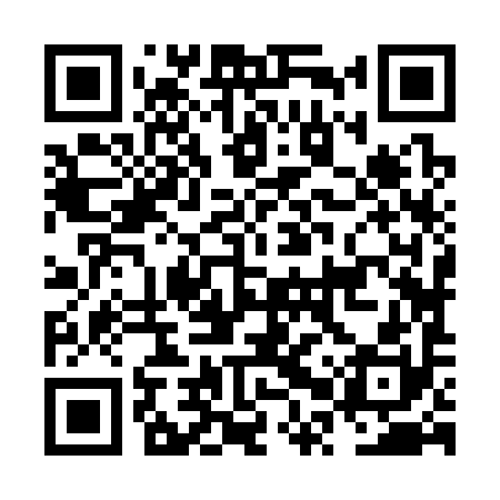 QR code for NPZ390