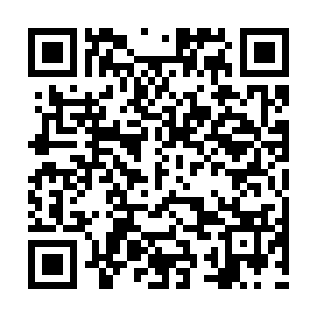 QR code for NSA333