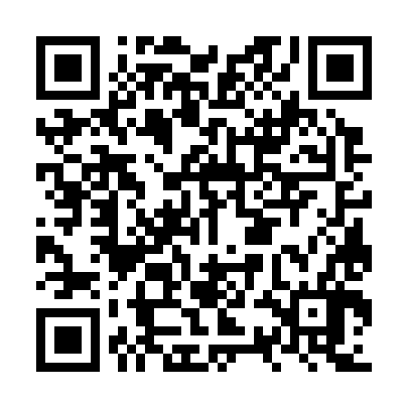 QR code for NSG386