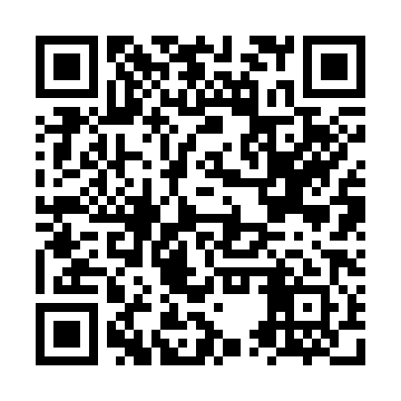 QR code for NUR381