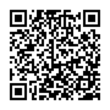 QR code for NYN382