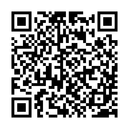 QR code for NYR383