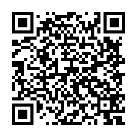 QR code for NYX859