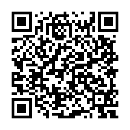 QR code for NZI594