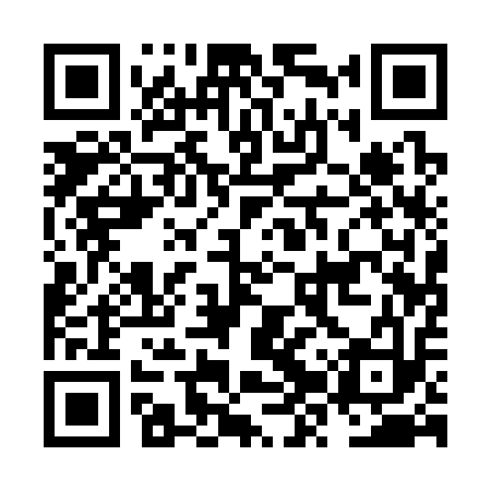 QR code for NZQ313
