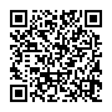 QR code for OAE334