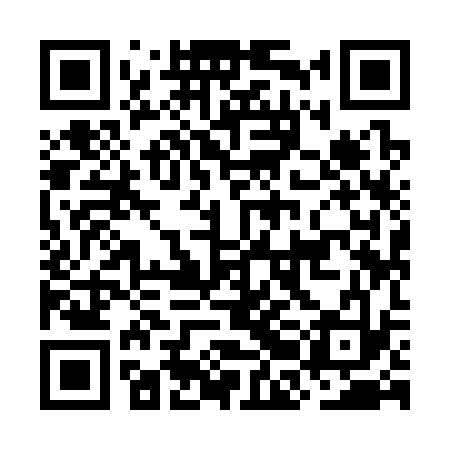 QR code for OBI333