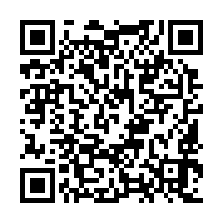 QR code for OOM393
