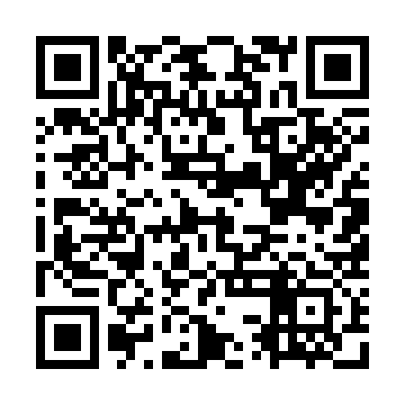QR code for OSE333