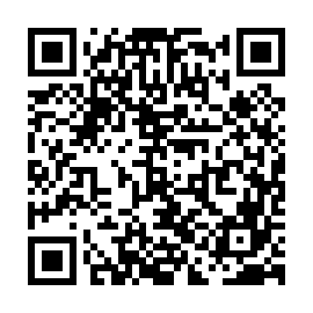 QR code for PAA066