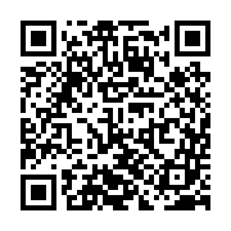 QR code for PAA243