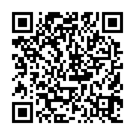 QR code for PAA341