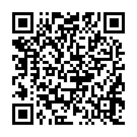 QR code for PAC956